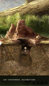 蚂蚁军团模拟器(Ant Legion) v7.1.108 安卓版 3