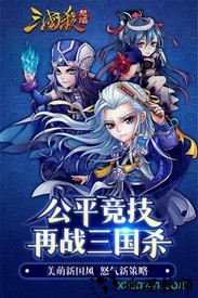 怒焰三国杀变态版 v2.0.2 安卓版 1