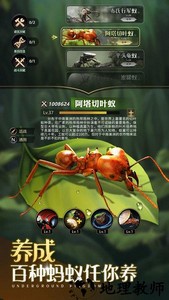 小小蚁国九游版 v1.51.0 安卓版 3
