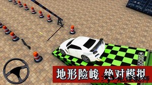 模拟驾驶大师手游 v3.0 安卓版 0