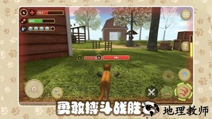 猫咪农场游戏 v1.0.0.2 安卓版 2