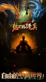聊天室修真游戏 v1.02 安卓版 0