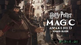 哈利波特魔法觉醒电脑版 v1.20.202330 官方版 0