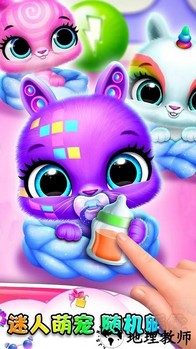 小动物大派对手机版 v1.0.0 安卓版 3