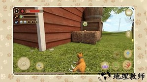 萌宠历险记3d手游 v1.0.0 安卓版 4