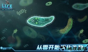 生命简史古生物放置游戏测试版 v1.1.0 安卓版 3