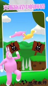 超级疯狂兔子人双人版 v2.0.0 安卓版 3