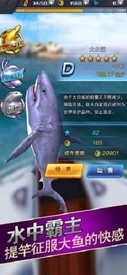 仿真钓鱼游戏手机版 v1.1.6 安卓版 1