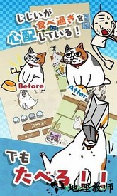 饥饿的猫(はらぺこ猫) v1.1 安卓版 0