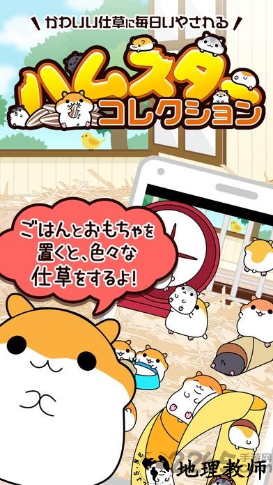 仓鼠收藏中文版游戏 v2.8.0 安卓版 4