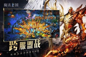 魔法之国手游 v1.0.0.0 安卓版 3