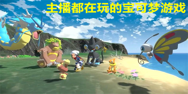 主播都在玩的宝可梦游戏有哪些