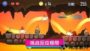 最后的兔纸 v1.24 安卓版 0