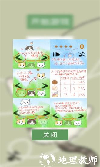 猫猫吃成猪猪官方版 v0.1 安卓版 0