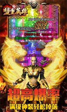 盟重英雄斗罗传奇截图