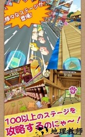 猫猫保龄球中文版 v1.1.0 安卓版 0