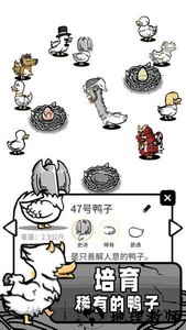 鸭子模拟器手机版 v1.0.2 安卓版 3