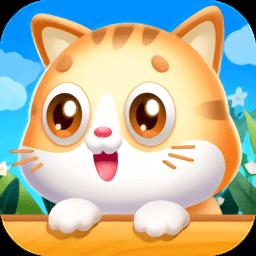 猫咪小屋