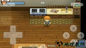 牧场物语双子村手机版 v3.18 安卓版 0