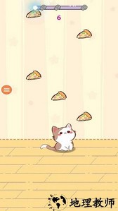 猫咪真的超可爱手游 v1.0 安卓版 1