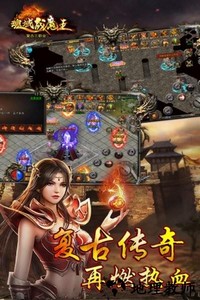 魂域战魔王游戏 v1.0 安卓版 3