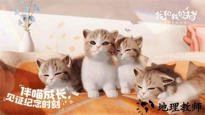 我和我的猫最新版 v1.0.84161 安卓官方版 4