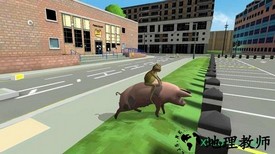 疯狂的青蛙中文版 v1.0 安卓版 1