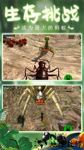 模拟蚂蚁大作战游戏 v1.1 安卓版 3