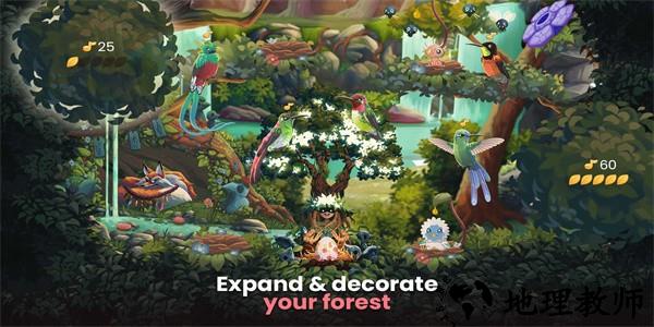鸟类世界最新版 v0.35 安卓版 0