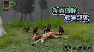 森林狼生存模拟器手机版 v1.2 安卓版 0