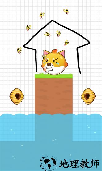 神奇脑回路最新版 v1.0.3 安卓版 3