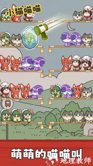小猫喵喵手机版 v1.1.1 安卓版 3