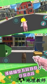 飞天火箭猪 v1.3 安卓版 1