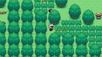 口袋妖怪永恒之沫 v1.6.2  安卓版 0