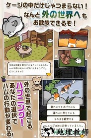 仓鼠物语手机版(ハムスター) v1.0.2 官方安卓版 1