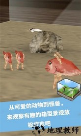 奇幻水族箱正版 v1.45 安卓版 0