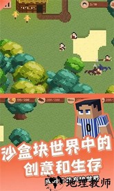 我的工艺方块世界手游 v1.1 安卓版 0