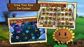 植物大战僵尸北美版无限阳光无冷却 v6.1.11 安卓中文版 3