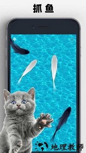 猫狗玩具模拟器手游 v1.0.5 安卓版 2