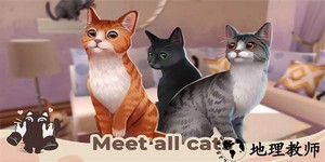 猫咪救援故事手机版 v1.3.1 安卓版 1