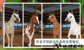 我的宠物医生世界最新版 v22.01.11 安卓版 0