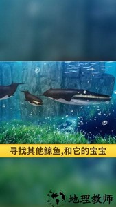 海洋3d蓝鲸模拟游戏 v1.0.1 安卓版 2