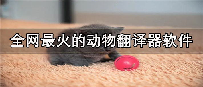 全网最火的动物翻译器app有哪些