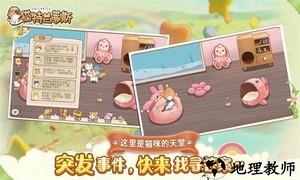 猫猫狗狗一起玩官方版 v1.0.5.30 安卓版 3