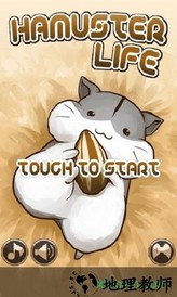 小仓鼠的快乐生活 v3.3.3 安卓版 2