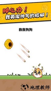 救救小狗小游戏 v1.0.3 安卓版 3