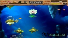 吞食鱼手机版 v3.0 安卓版 0