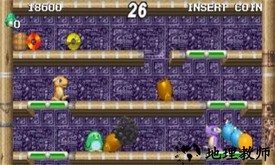 企鹅兄弟游戏 v1.0.5 安卓版 0
