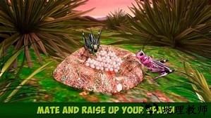 蚱蜢昆虫模拟器最新版 v1.0.0 安卓版 2