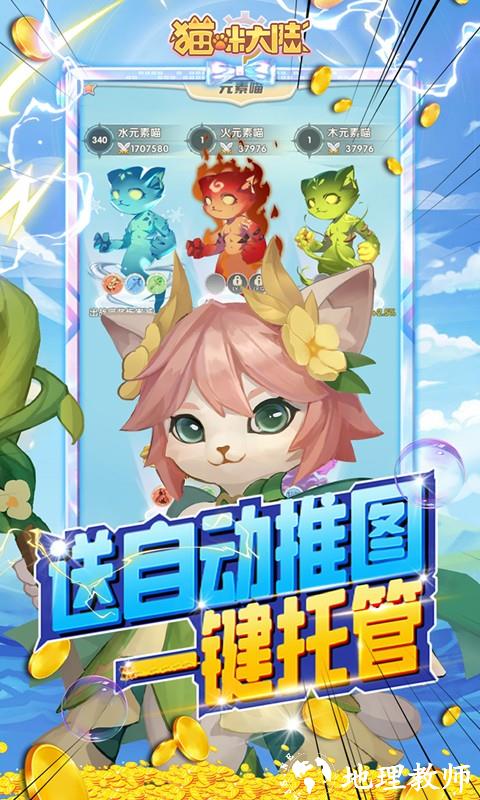 猫咪大陆图片 5